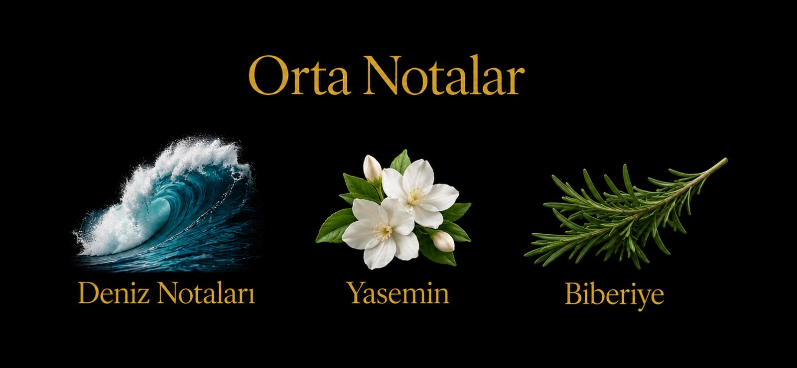 Armani orta notaları
