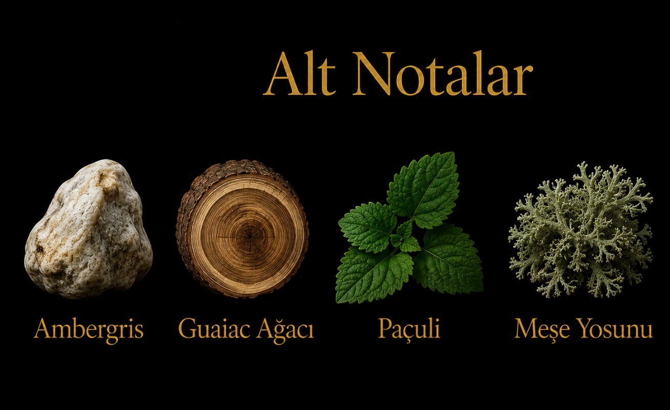 Invictos alt notaları