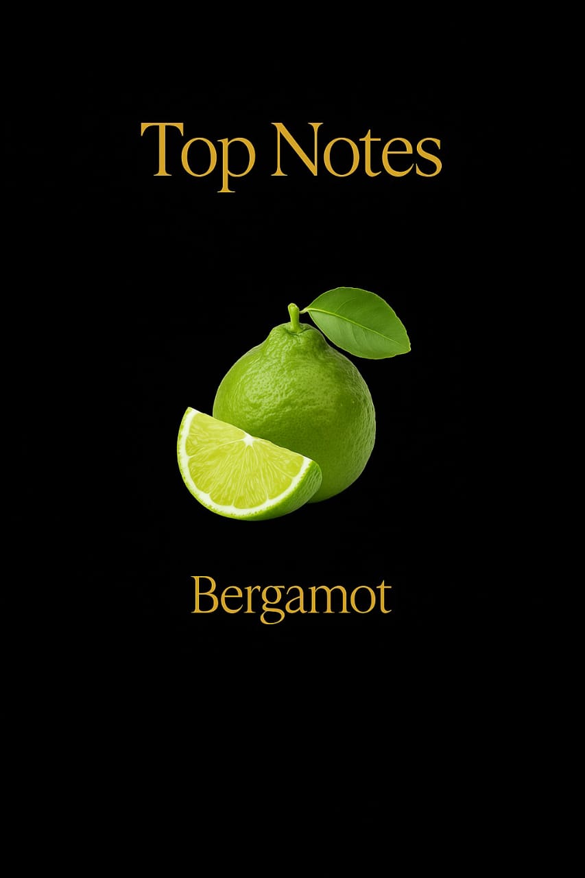 Beau üst notası